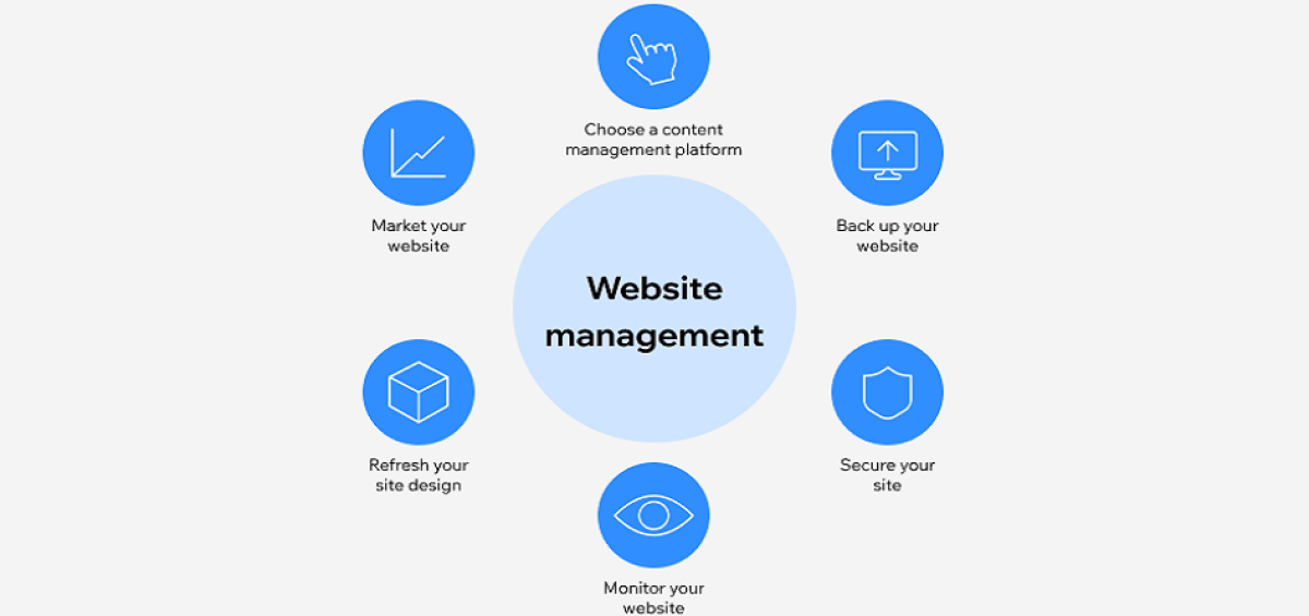 website management services