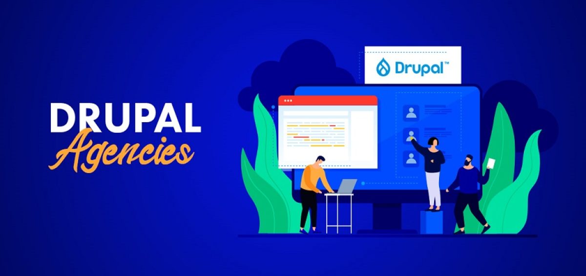 drupal development agency