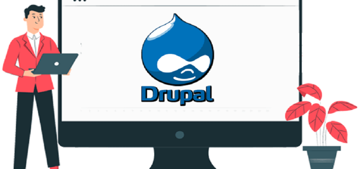 drupal developers