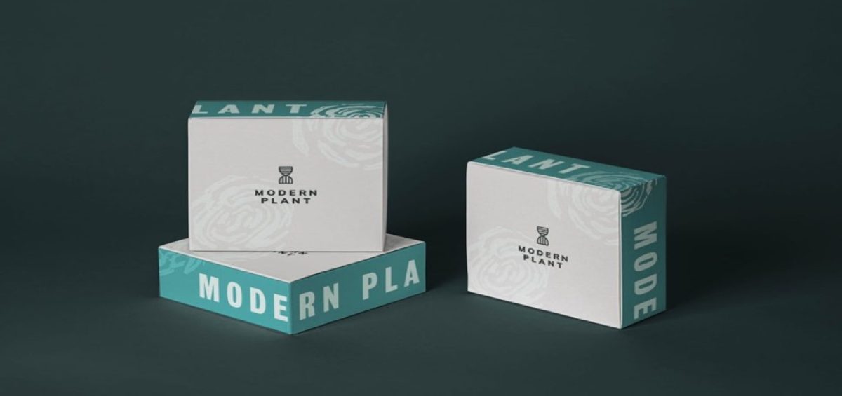 Packaging & Merch Design