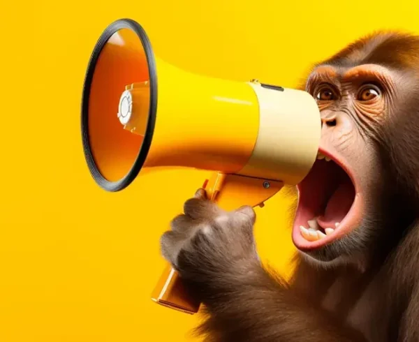 Leveraging memes in brand creative